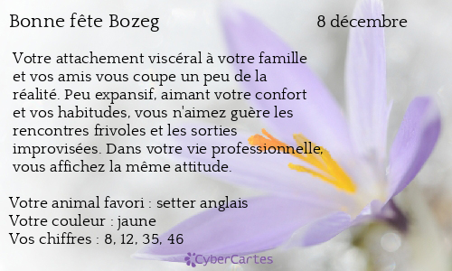 Carte bonne fête Bozeg