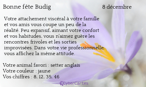 Carte bonne fête Budig